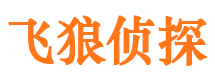 高淳侦探